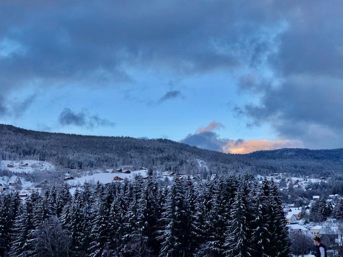 Le Bois Des Neiges Charmant Chalet Authentique A 5 Mn De Gerardmer Xonrupt-Longemer Exterior photo