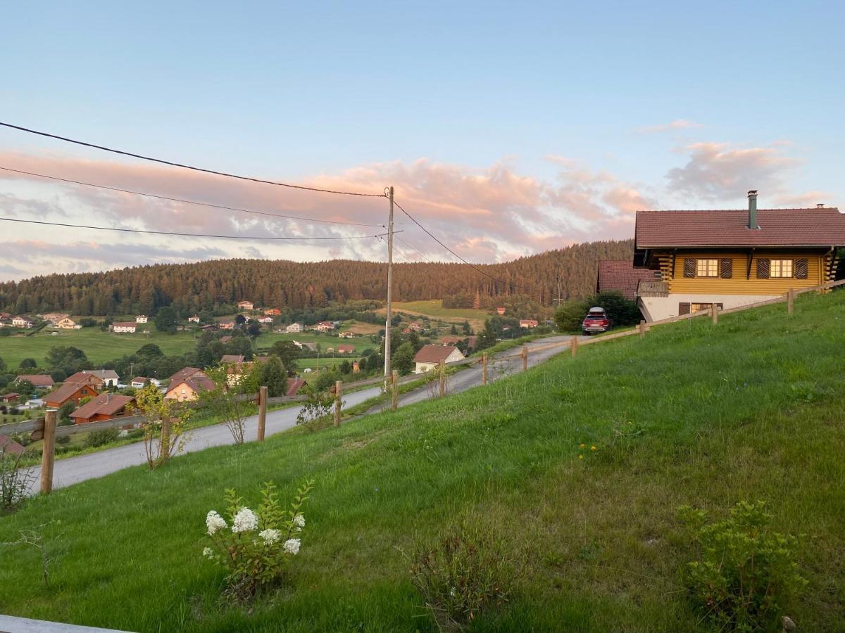 Le Bois Des Neiges Charmant Chalet Authentique A 5 Mn De Gerardmer Xonrupt-Longemer Exterior photo